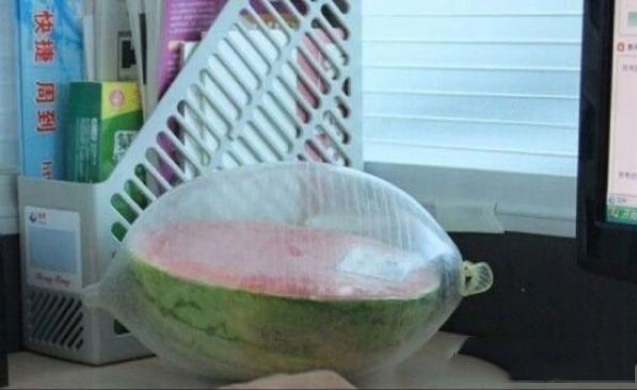 安全感满满的保鲜膜植物gif搞笑图片