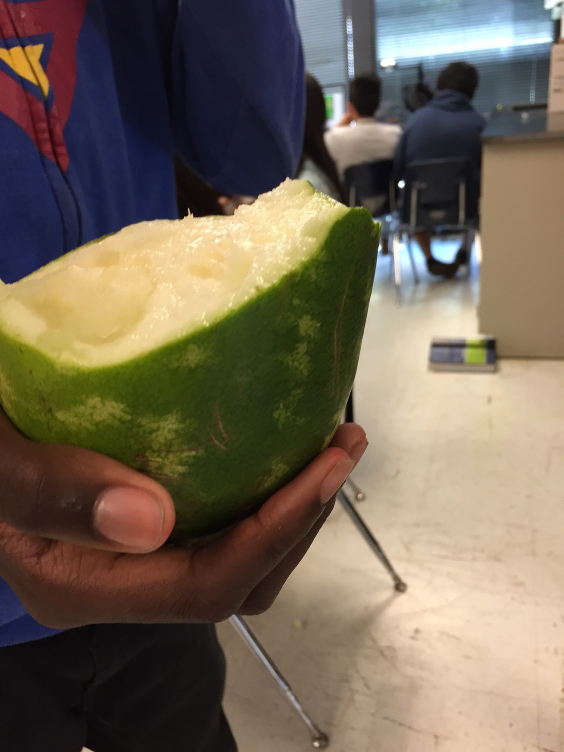 自己买的西瓜，含着泪也要吃完植物gif搞笑图片