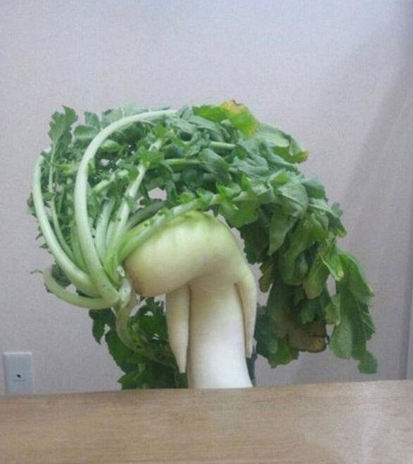 重金属摇滚萝卜植物gif搞笑图片