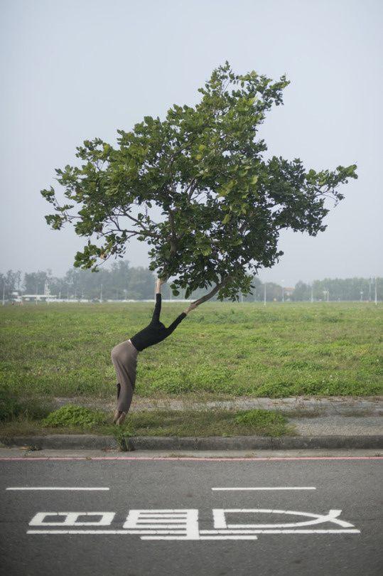 司机开到这里都会慢下来植物gif搞笑图片