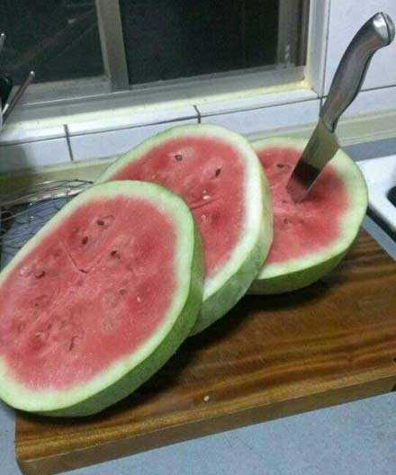 西瓜不是这么切的吗？植物gif搞笑图片