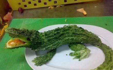 苦瓜的霸气做法植物gif搞笑图片