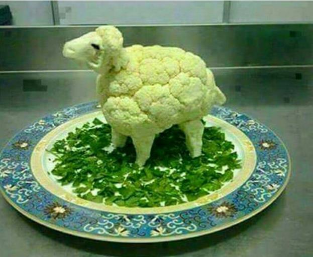 吃顿饭而已，还有这么大惊喜啊植物gif搞笑图片