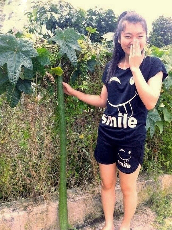 妹子，你为何笑的这么内涵呢植物gif搞笑图片