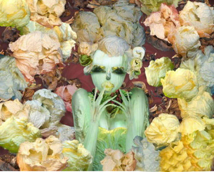 用蔬菜作画的桔多淇（JuDuoqi）植物gif搞笑图片