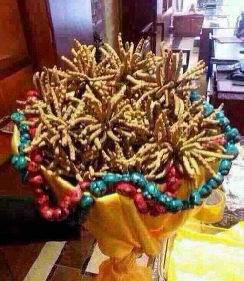 高原土豪泡妞专用植物gif搞笑图片