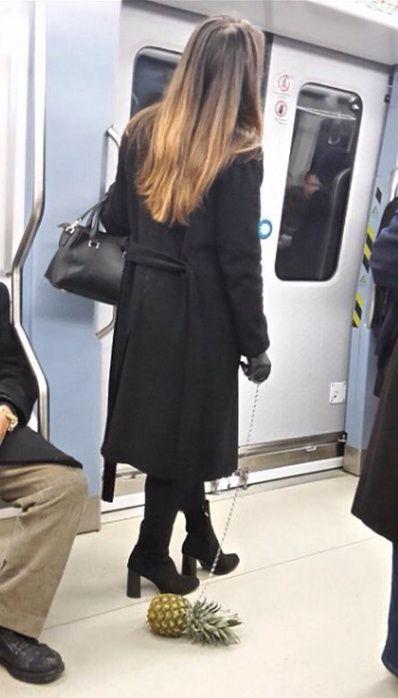 很讲究的宠物植物gif搞笑图片