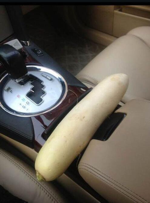 开车去载男朋友了啊植物gif搞笑图片