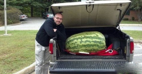 想吃西瓜吗？管饱植物gif搞笑图片