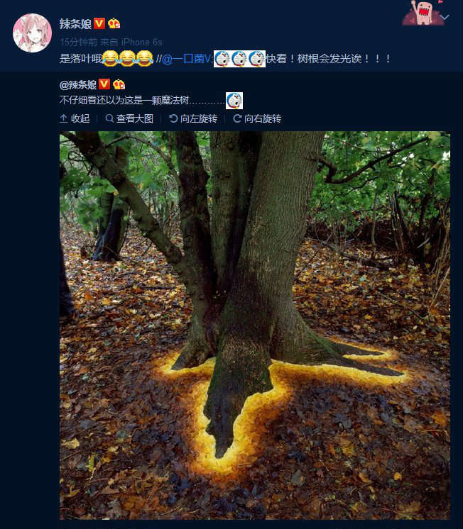 还以为是棵魔法树来的植物gif搞笑图片