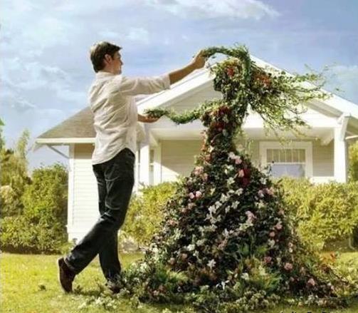 园丁的婚礼植物gif搞笑图片