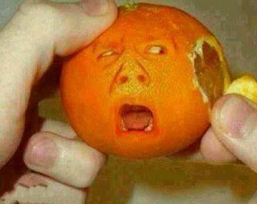 哎哟，我的耳朵...植物gif搞笑图片