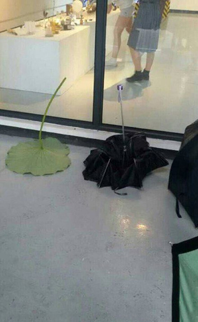 谁的雨伞这么清新有个性植物gif搞笑图片