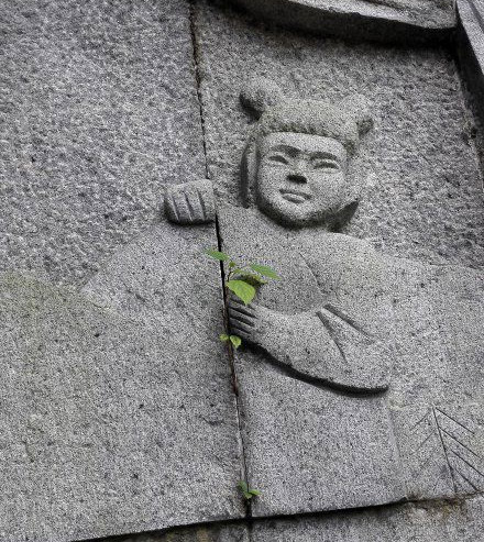 一切都源自于巧合植物gif搞笑图片