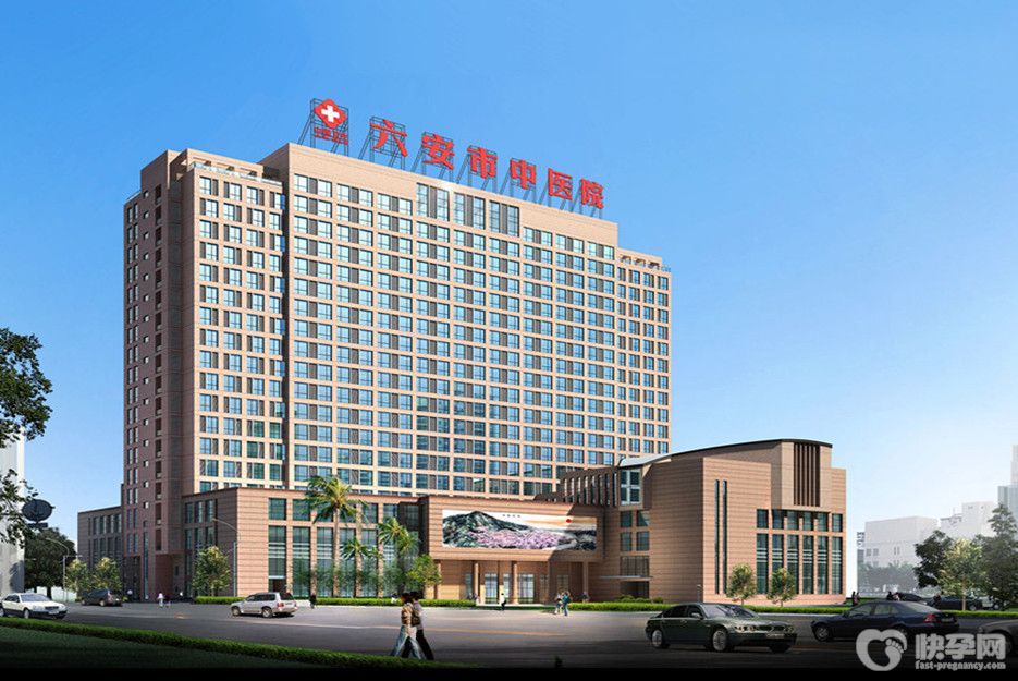 六安市中医院