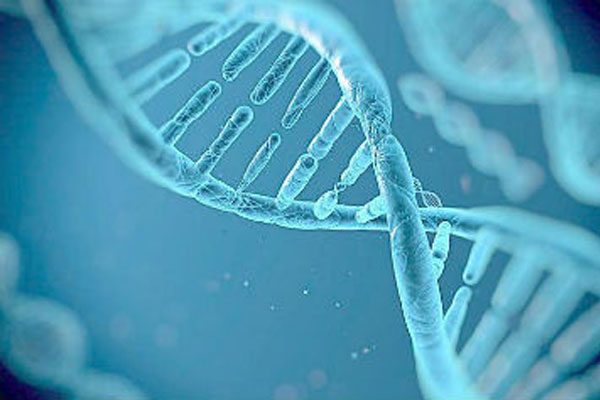 台湾冻卵——打破传统生育观念