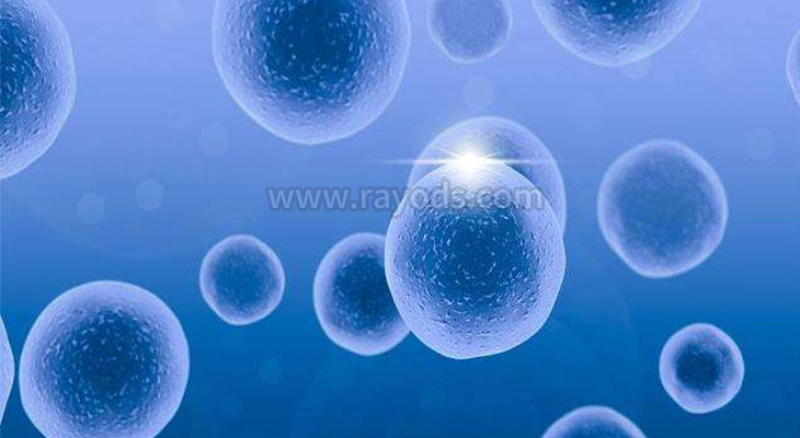 空卵泡和正常卵泡什么区别？一文就看懂！