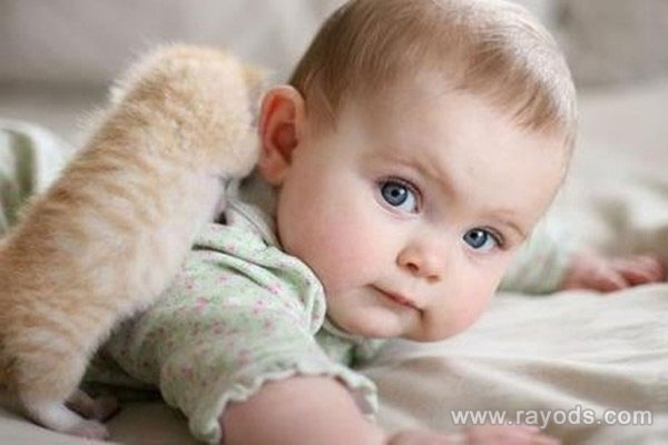 木字旁名字男孩寓意好 最高分男孩名字常用字带木字旁