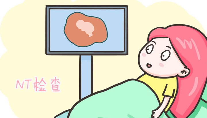 通过nt检查报告推算怀孕周期准确率高吗？