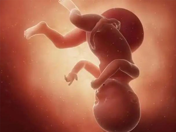 B超显示孩子大概五斤多，一般实际生下来有多少？