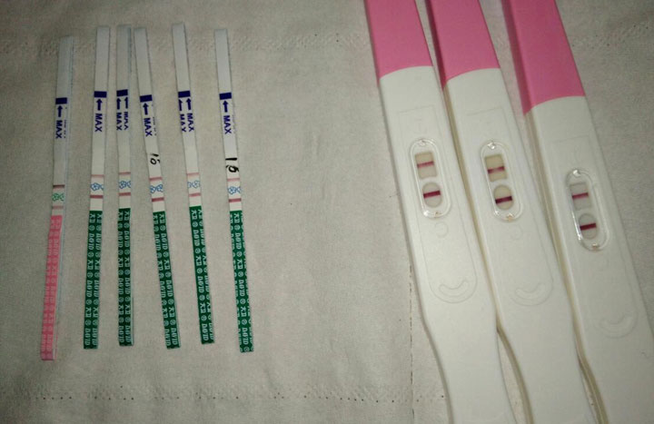 排卵试纸强阳后多久排卵,分享排卵试纸怎么用的知识