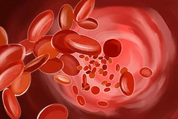 女人贫血怎么调理？补气养血按这5步走准没错