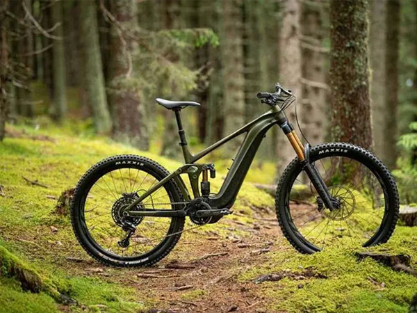 单身女人夏天梦见自己停的自行车丢了到处找预示着什么？