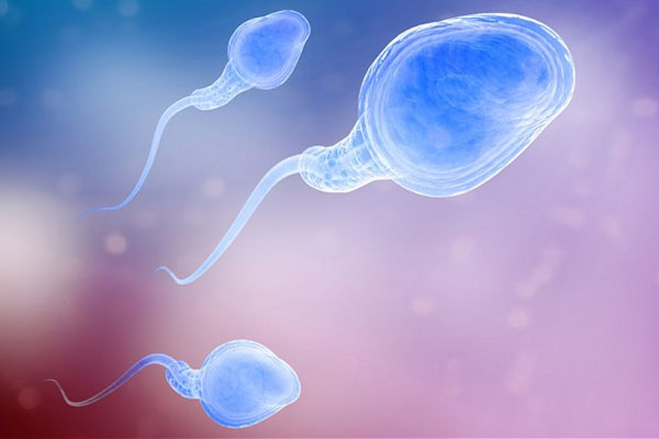 备孕A级精子重要性不言而喻，低于正常值小心不育
