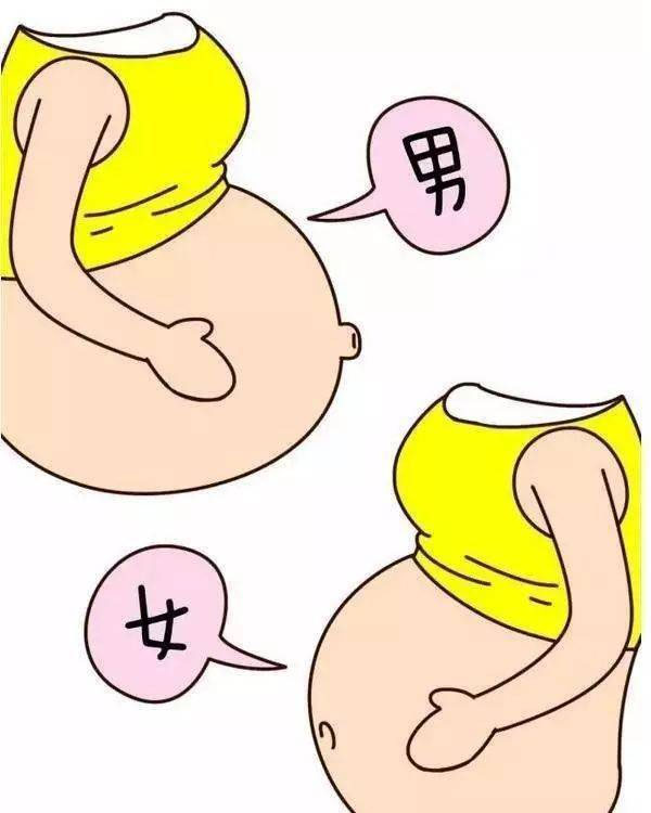 100%生女儿肚型快来对照！有这6大特征标志着生闺女