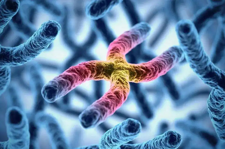 羊水穿刺疼吗,科学认知羊水穿刺风险