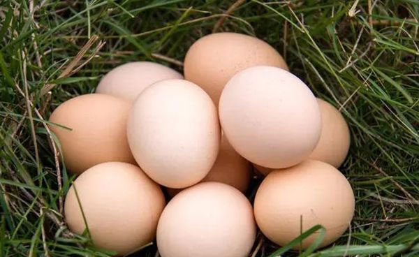 2025年观音娘娘会送子的生肖,观音送子后多久可以怀孕