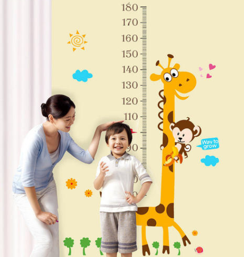 出生季节会影响BB身高与性格？