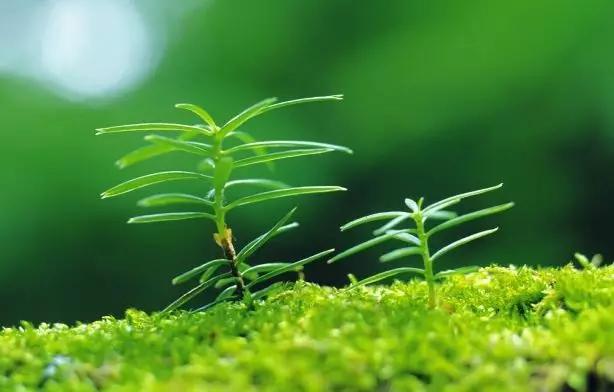 春季怀孕注意事项