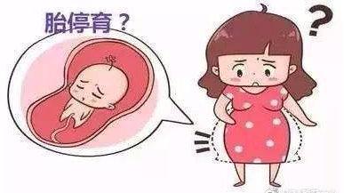 怀孕胎停和体温下降的关系
