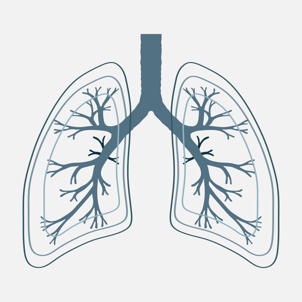 增强营养能提高肺部疾病疗效