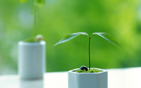 青少年性教育有哪些家长不知道的误区呢？