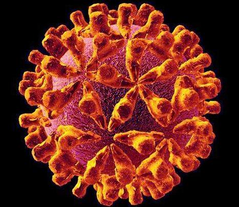 据说这五种食材能够抑制艾滋病毒