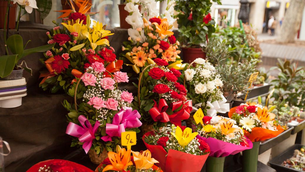 不同的天然鲜花的不同治疗功效