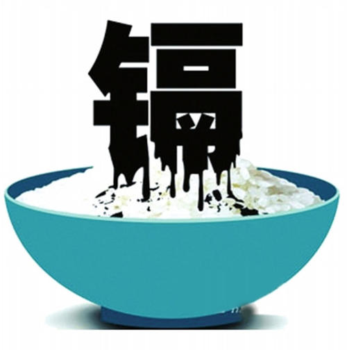 某些动物内脏会导致男性不育