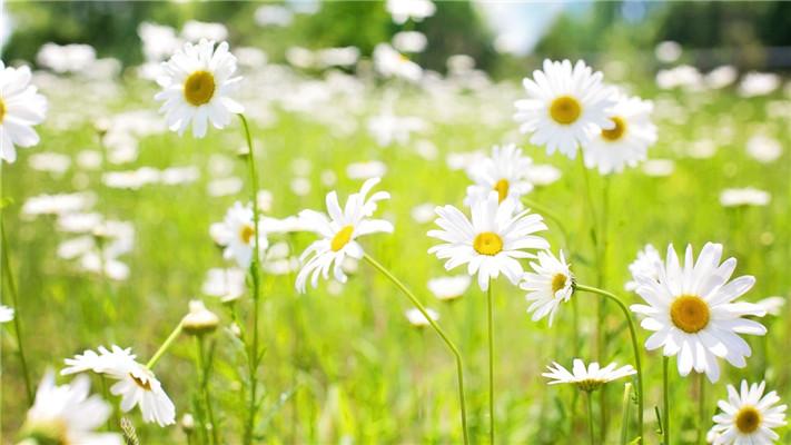 孕妈的身体健康清单