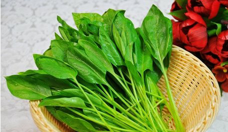 让宝宝尝菠菜味