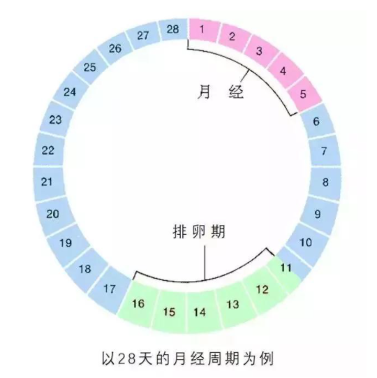 你不容错过的排卵问题