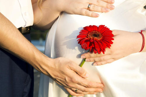 天鹅到家：男性不育的原因有哪些？这里推荐几款食疗方