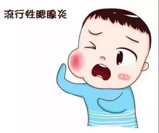 育儿篇：宝宝腮腺炎会发病两次以上吗？