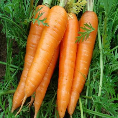 怎样让孩子多吃胡萝卜？