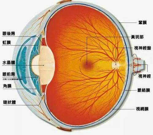 青光眼怎么治？