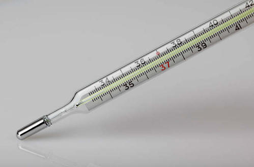 孕中测体温的体温计使用方法