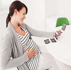 天鹅到家孕期营养状况的监测方式