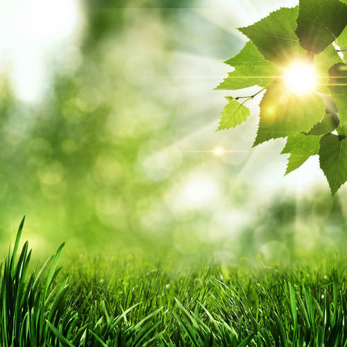 性生活的时间安排在什么时候比较合适