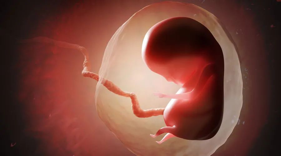 怀孕体温有变化？不用担心 多种因素会影响你的体温浮动